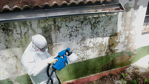 Top rated local Mold Testing specialists in Bainbridge, GA